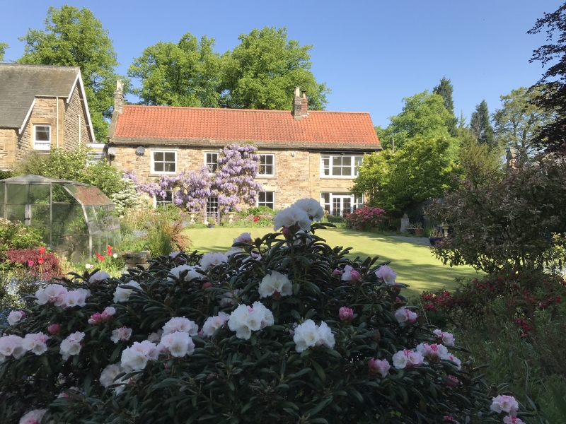 Brancepeth Village Gardens